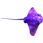 紫色普通魚角色圖示