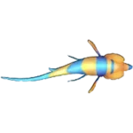 藍色普通魚角色圖示